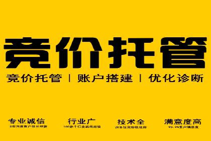 实战经验：SEO与SEM优化案例精选解析